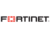 fortunet-300x235-1